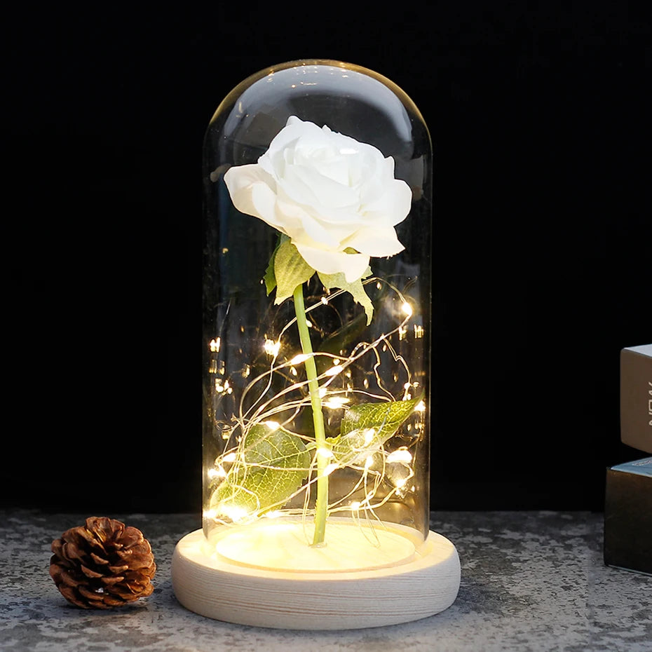 Beauty and the Beast Enchanted Rose – LED Glass Dome with Forever Red Rose – Romantic Gift for Valentine's Day, Mother's Day & Special Occasions