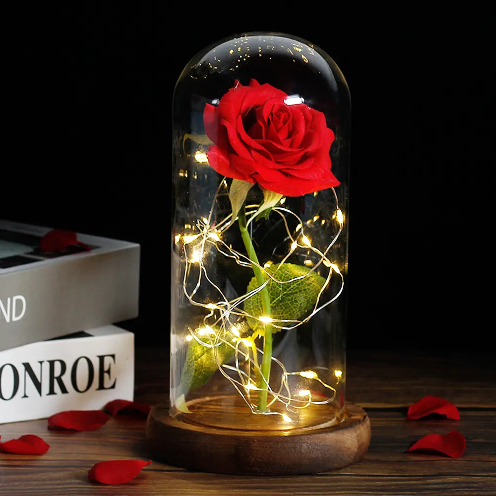 Beauty and the Beast Enchanted Rose – LED Glass Dome with Forever Red Rose – Romantic Gift for Valentine's Day, Mother's Day & Special Occasions
