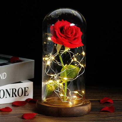 Beauty and the Beast Enchanted Rose – LED Glass Dome with Forever Red Rose – Romantic Gift for Valentine's Day, Mother's Day & Special Occasions