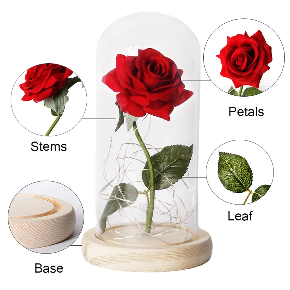 Beauty and the Beast Enchanted Rose – LED Glass Dome with Forever Red Rose – Romantic Gift for Valentine's Day, Mother's Day & Special Occasions